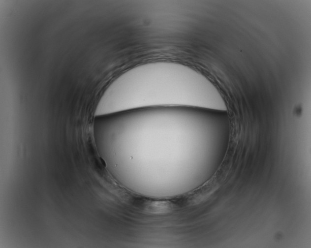 X0000102250324200807250907