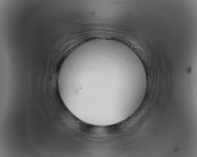 X0000102250325200807250907