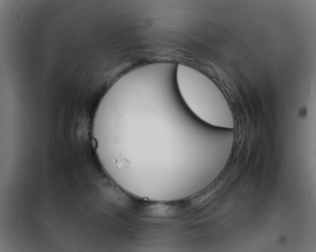X0000102250326200807250907