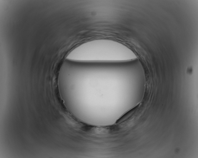 X0000102250327200807250907