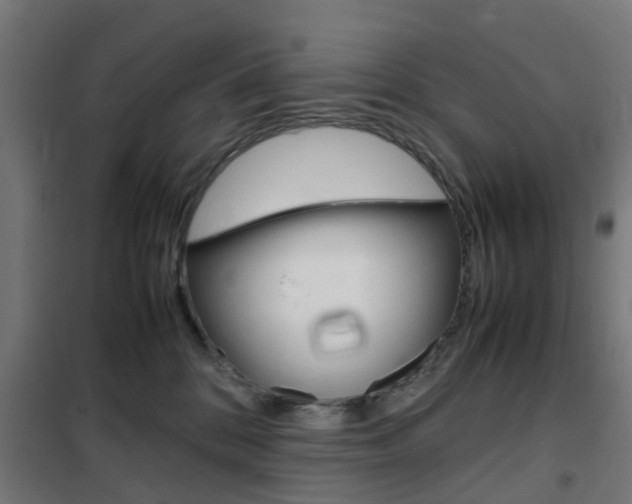 X0000102250328200807250907