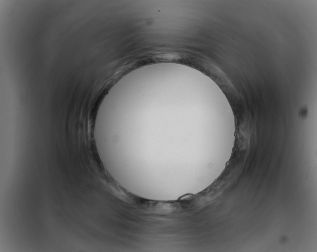 X0000102250330200807250907