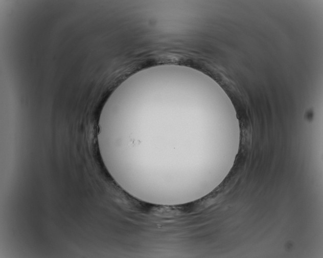 X0000102250331200807250907