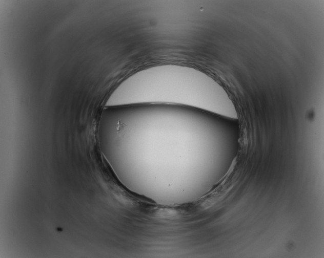 X0000102250332200807250907