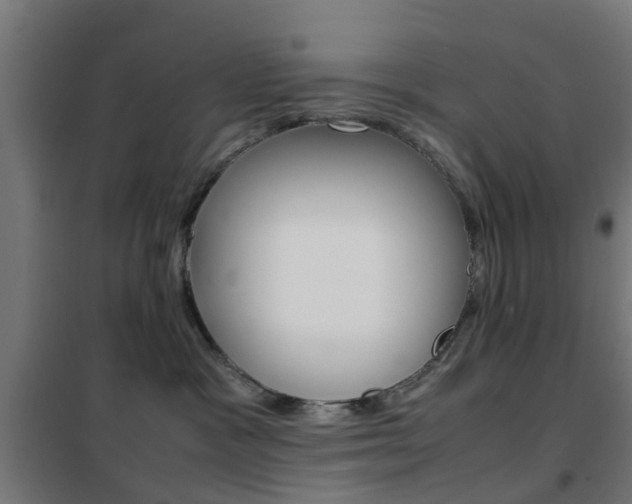 X0000102250333200807250907