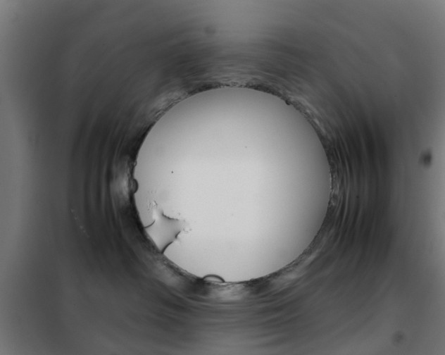 X0000102250334200807250907