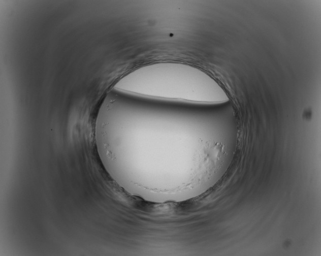 X0000102250335200807250906