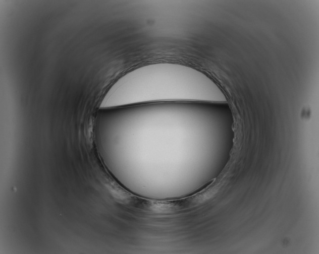 X0000102250336200807250906