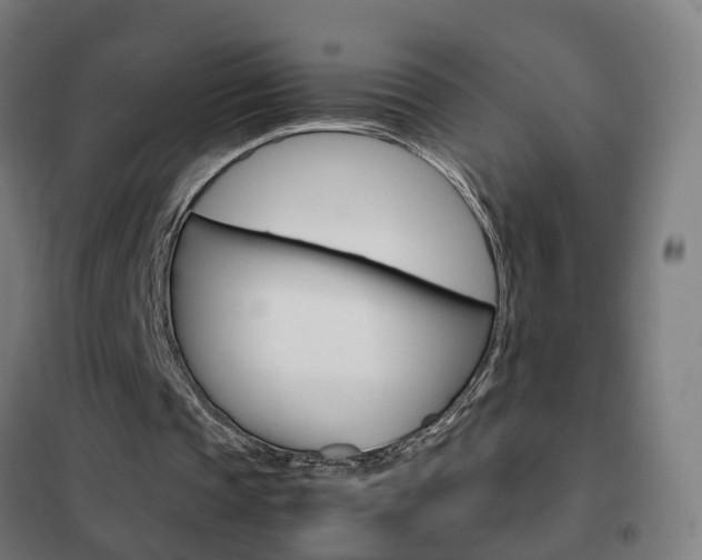 X0000102250337200807250906