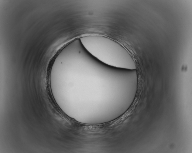 X0000102250338200807250906