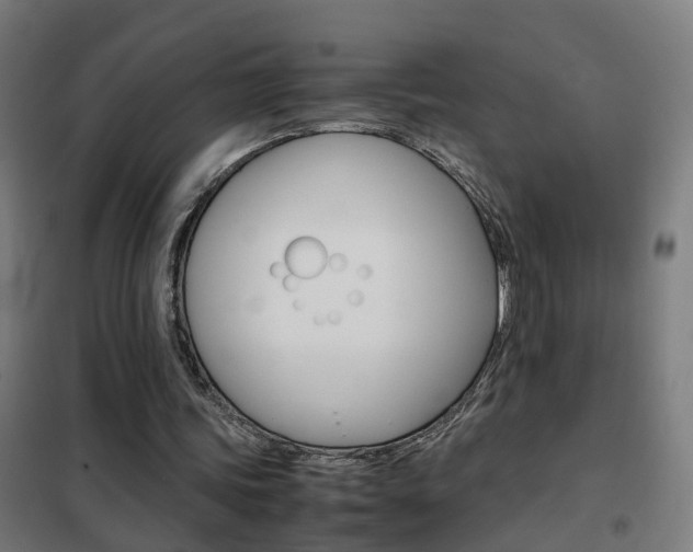 X0000102250339200807250906