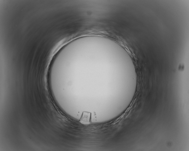 X0000102250340200807250906