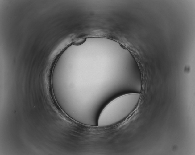 X0000102250341200807250906