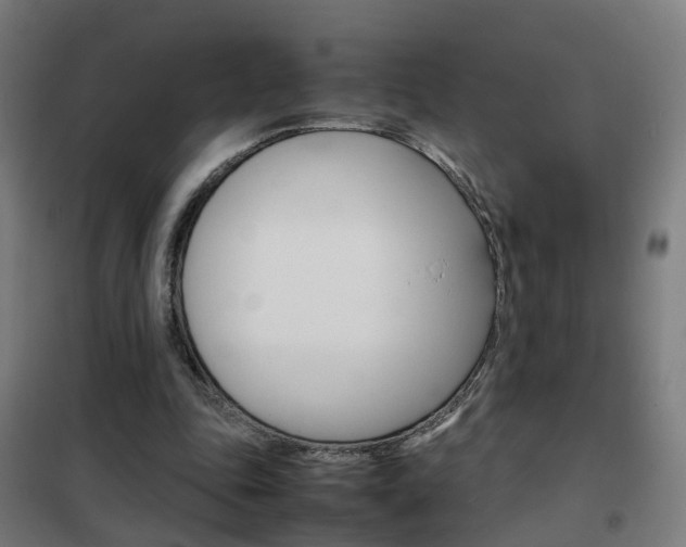 X0000102250343200807250906