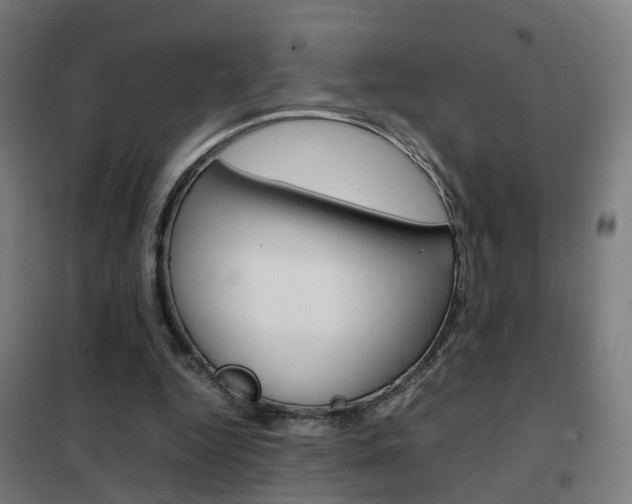 X0000102250344200807250906