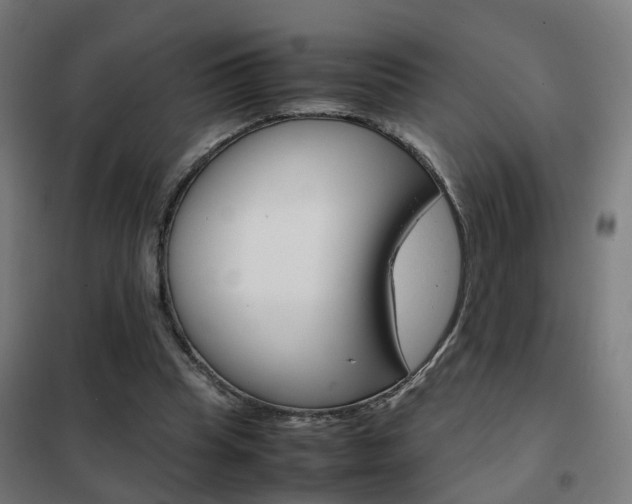 X0000102250345200807250906