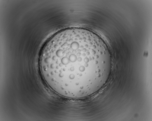 X0000102250346200807250906