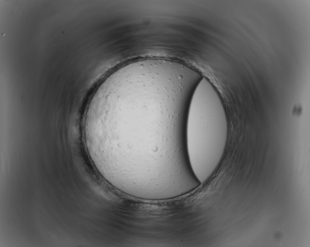 X0000102250347200807250906
