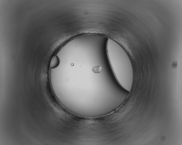 X0000102250348200807250906