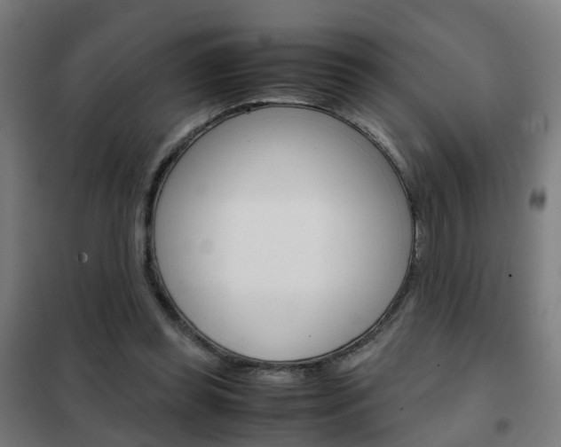 X0000102250349200807250906