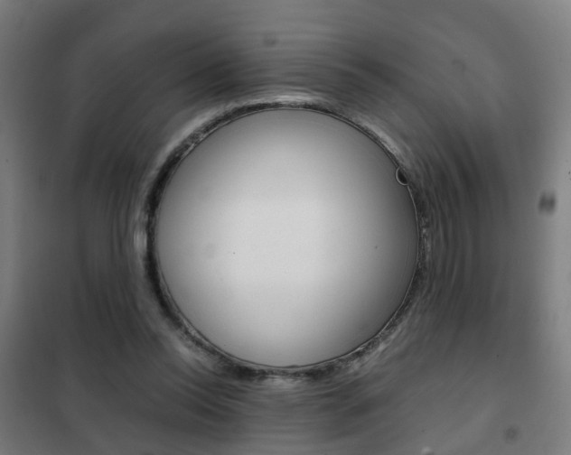 X0000102250350200807250906