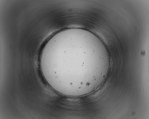 X0000102250351200807250906