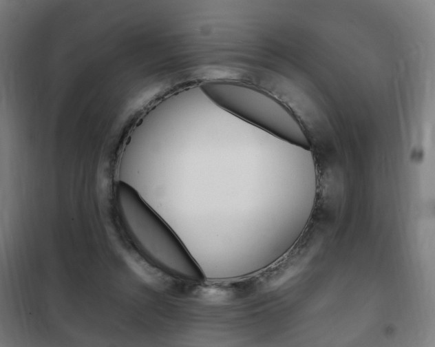 X0000102250352200807250906