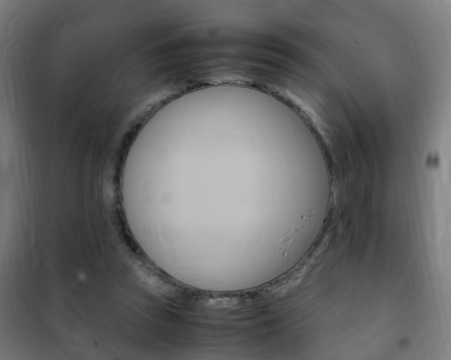 X0000102250353200807250906