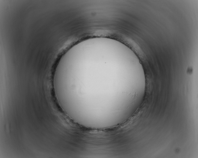 X0000102250354200807250906