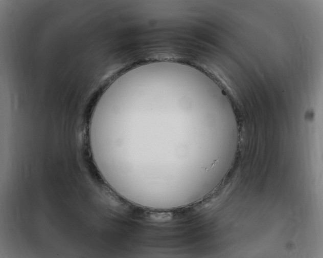 X0000102250355200807250906