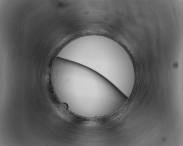 X0000102250356200807250906