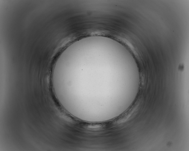 X0000102250357200807250906