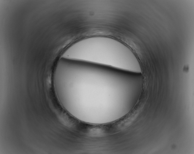 X0000102250358200807250906