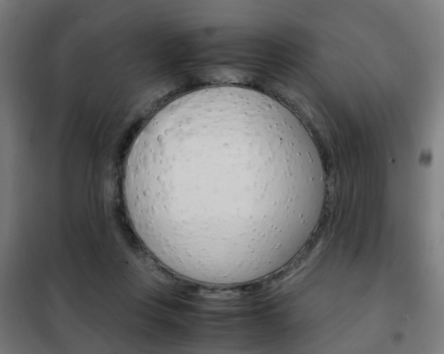 X0000102250359200807250906