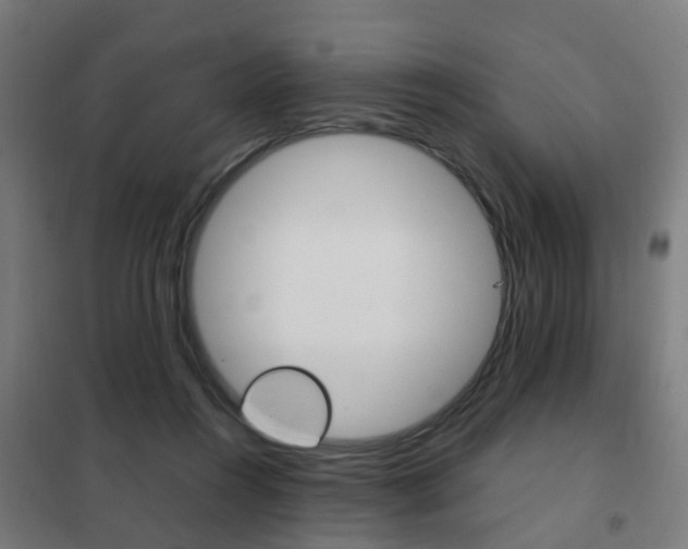 X0000102250360200807250906