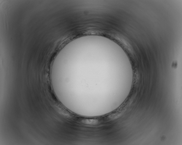 X0000102250361200807250906