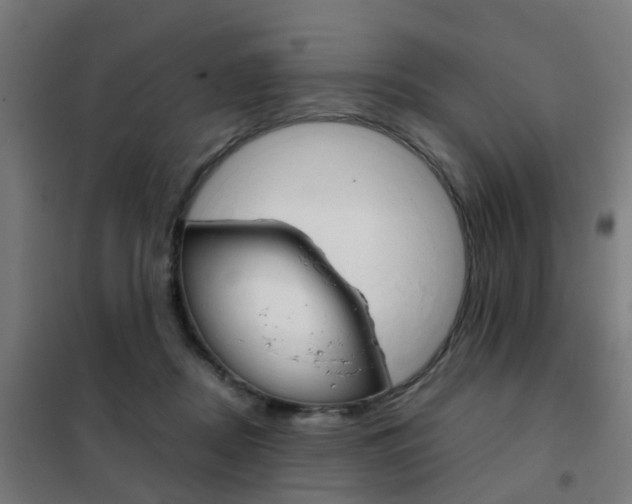 X0000102250362200807250906