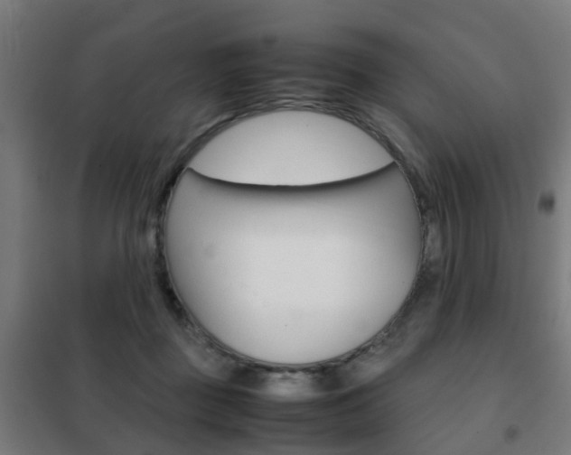 X0000102250363200807250906