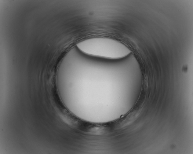 X0000102250364200807250906