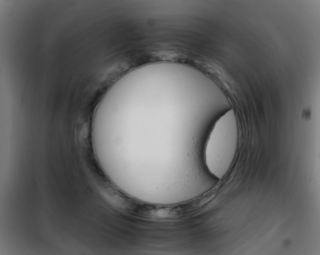 X0000102250365200807250906