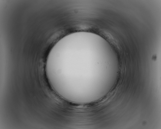 X0000102250366200807250906