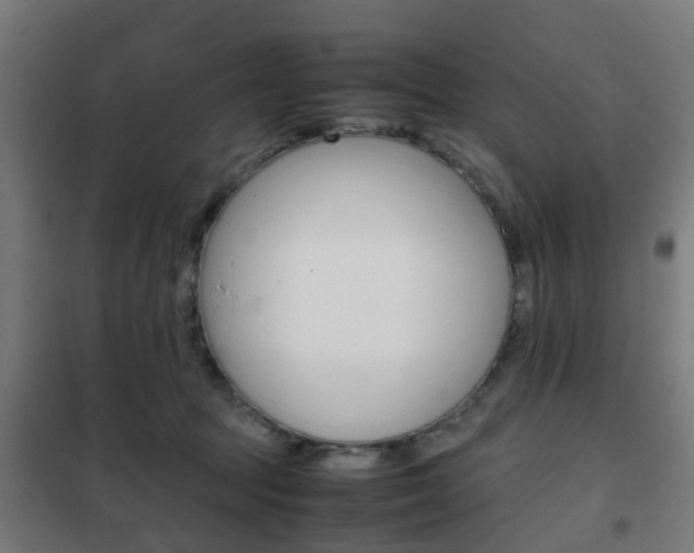 X0000102250369200807250906