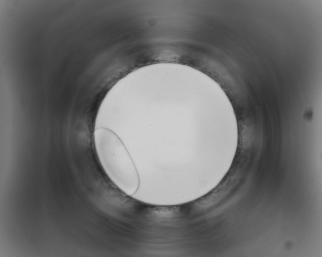 X0000102250370200807250906
