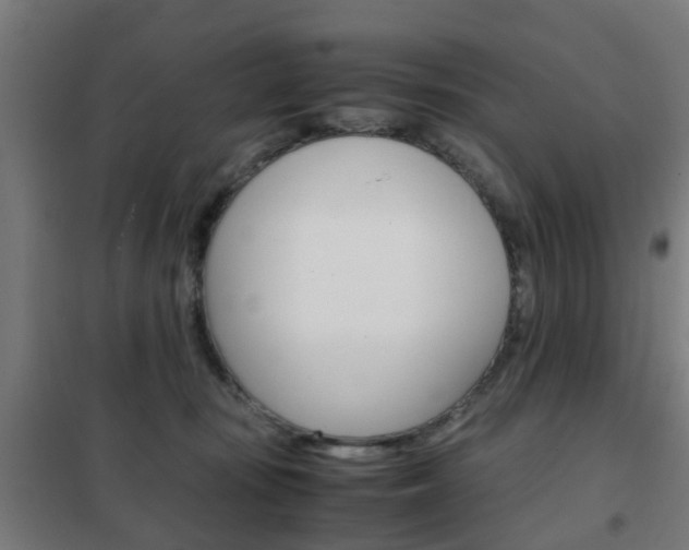 X0000102250371200807250906