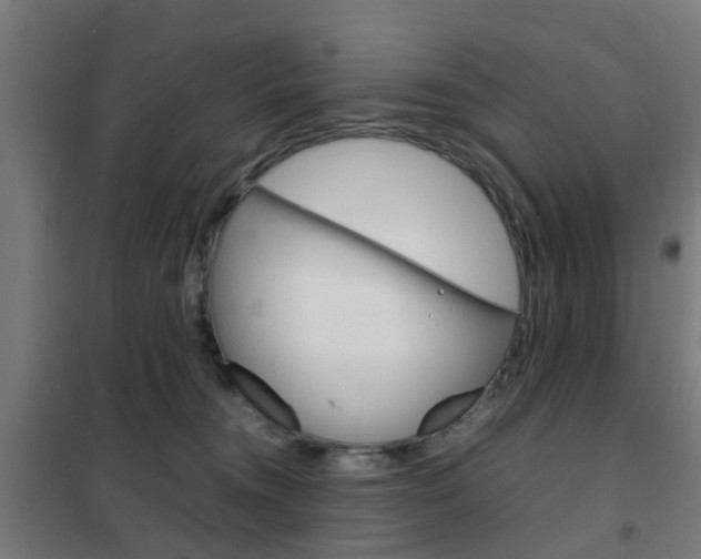 X0000102250372200807250906