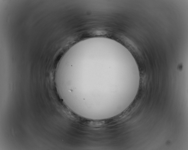 X0000102250373200807250906
