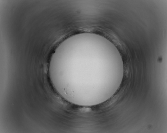 X0000102250374200807250906