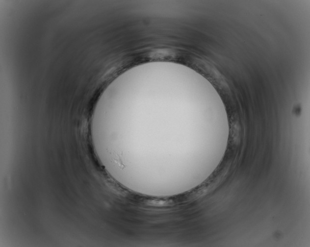 X0000102250375200807250906