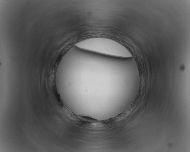 X0000102250376200807250906
