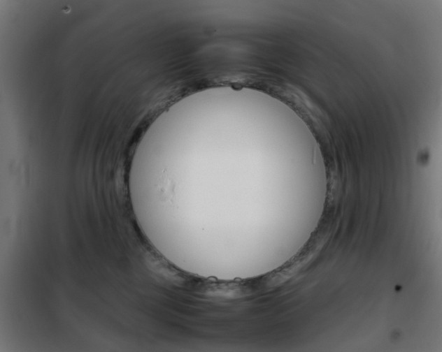 X0000102250377200807250906